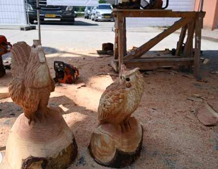 11 juni HCI 100 jaar