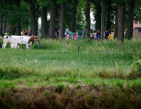 4 juni Hengelose Avond4daagse - dag 2