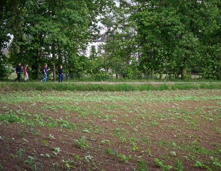 5 juni Hengelose Avond4daagse - dag 3