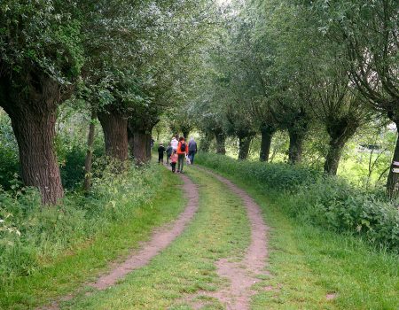 6 juni Hengelose Avond4daagse - dag 4