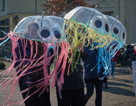 15 februari 2026 Carnavalsoptocht de Peerdeknuppels